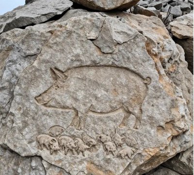 Domuz ve yavrulari 2.jpg