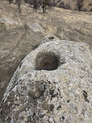 WhatsApp Image 2026-01-30 at 02.23.34 (1).jpeg