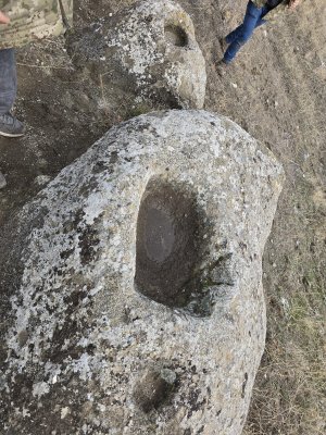 WhatsApp Image 2026-01-30 at 02.23.16.jpeg