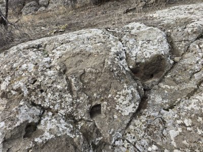 WhatsApp Image 2026-01-30 at 02.23.16 (1).jpeg