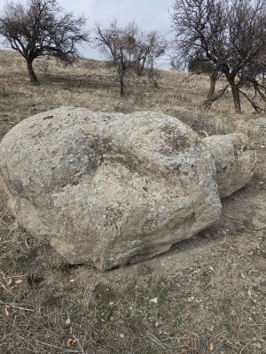 WhatsApp Image 2026-01-30 at 02.23.33.jpeg