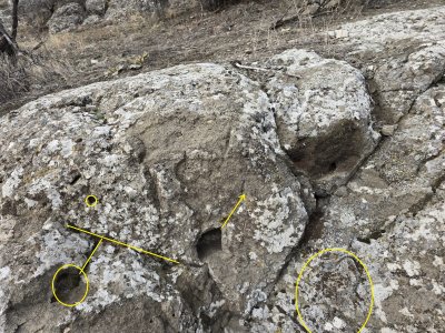 WhatsApp Image 2026-01-30 at 02.23.16 (1).jpeg