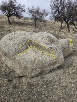 WhatsApp Image 2026-01-30 at 02.23.33.jpeg