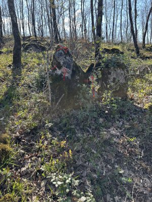 IMG_3487.jpeg IMG_3487.jpeg