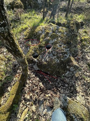 IMG_3492.jpeg IMG_3492.jpeg