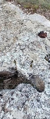 Screenshot_20260420_164004_Editor Lite.jpg