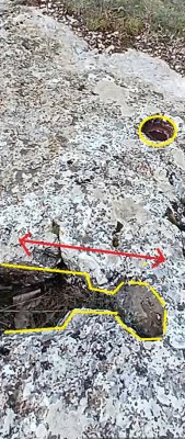 Screenshot_20260420_164004_Editor Lite.jpg