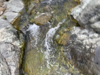 IMG_1533.jpeg