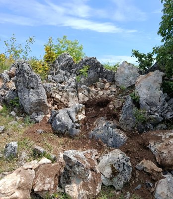 IMG_20260506_202422.jpg