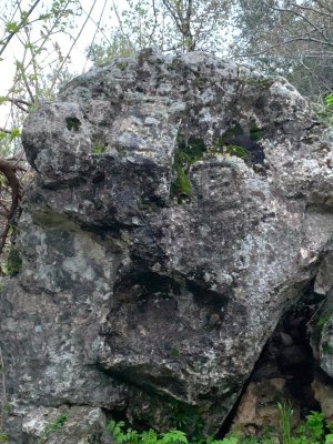 ED67EC50-AF06-4DEB-AC69-ECE900111C4A.jpeg