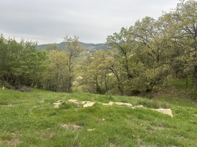 IMG_1178.jpeg
