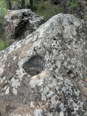 IMG_1174.jpeg