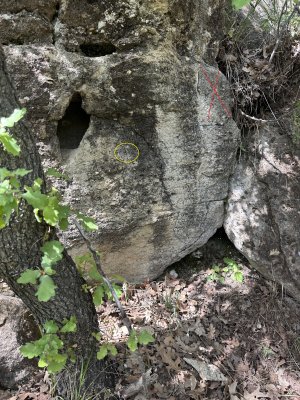 IMG_1202.jpeg