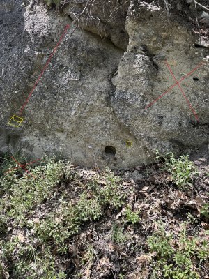 IMG_1206.jpeg