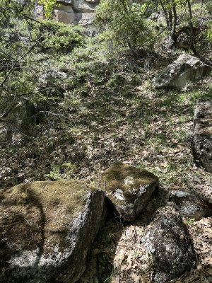 IMG_1205.jpeg