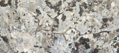 IMG_20260510_133955.jpg