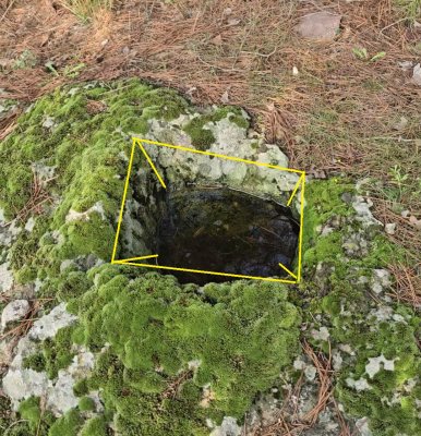 Screenshot_20251227_133523_Gallery.jpg