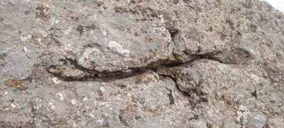 IMG-20260329-WA0002.jpg