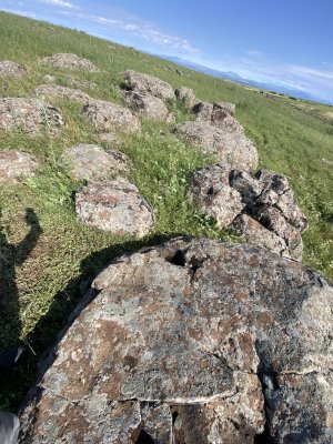IMG_0517.jpeg