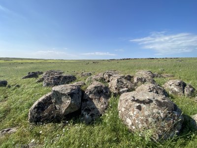 IMG_0519.jpeg