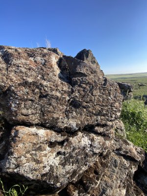IMG_0532.jpeg