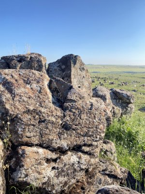 IMG_0534.jpeg
