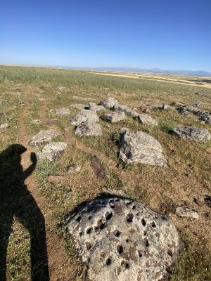 IMG_0763.jpeg