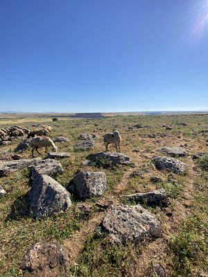 IMG_0765.jpeg