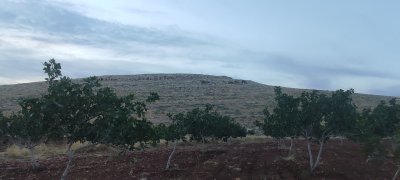 IMG_20260606_194201.jpg