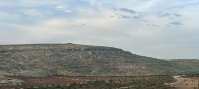 IMG_20260606_183319.jpg