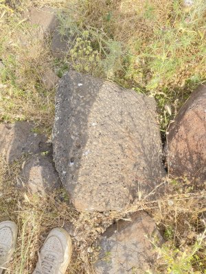 IMG_0836.jpeg