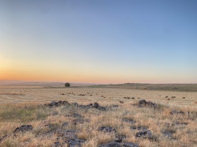 IMG_0868.jpeg