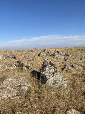IMG_0901.jpeg
