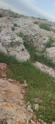 Screenshot_2026-06-20-23-59-18-100_com.mxtech.videoplayer.ad.jpg