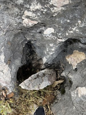 IMG_6780.jpg