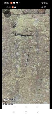 Screenshot_2023-08-09-21-49-17-87.jpg