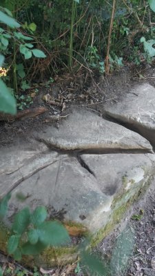 IMG-20260805-WA0021.jpeg