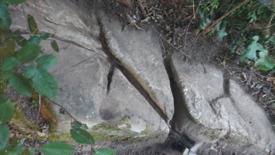 IMG-20260805-WA0019.jpeg