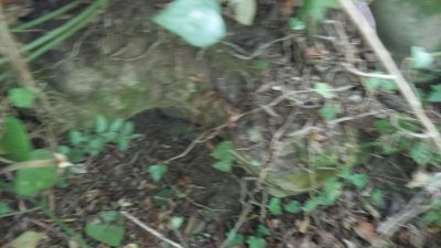 IMG-20260808-WA0012.jpeg