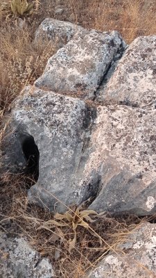 IMG-20260816-WA0015.jpeg