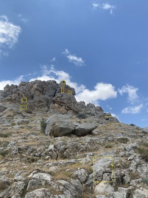 IMG_7764.jpeg