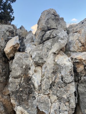 IMG_3659.jpeg