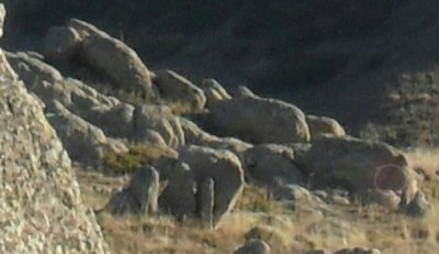 IMG_20250521_210949.jpg
