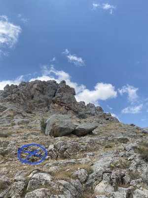 IMG_7764.jpg