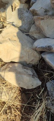 IMG-20260913-WA0000.jpg