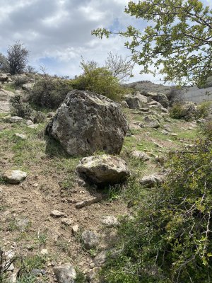 IMG_4477.jpeg