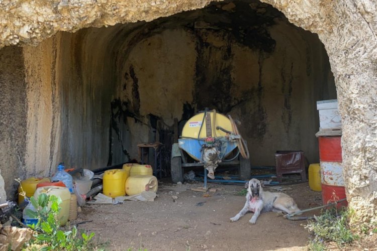 Bursa'da 2 bin yıllık mezar odasını depo olarak kullanıyor